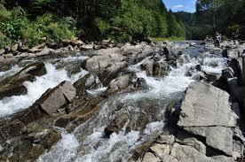 Rezerwat przyrody Sine Wiry